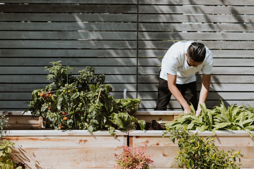 découvrez l'art du jardinage avec nos conseils pratiques, astuces de professionnels et idées inspirantes pour créer et entretenir votre jardin. que vous soyez débutant ou jardinier expérimenté, trouvez toutes les informations nécessaires pour faire fleurir votre passion.