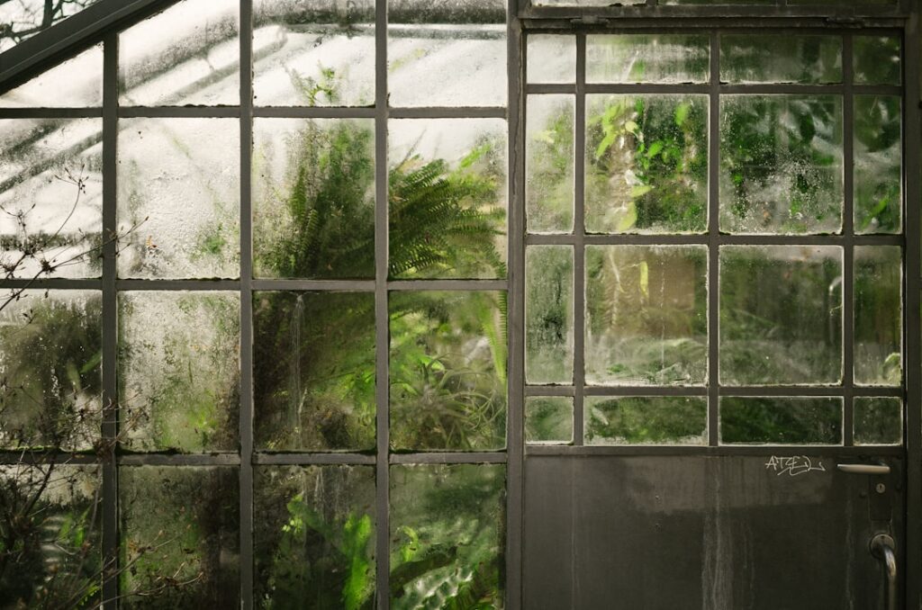 découvrez les avantages d'une serre en bambou, un choix écologique et esthétique pour abriter vos plantes. élégance naturelle, durabilité et respect de l'environnement se conjuguent pour créer un espace idéal pour votre jardin.