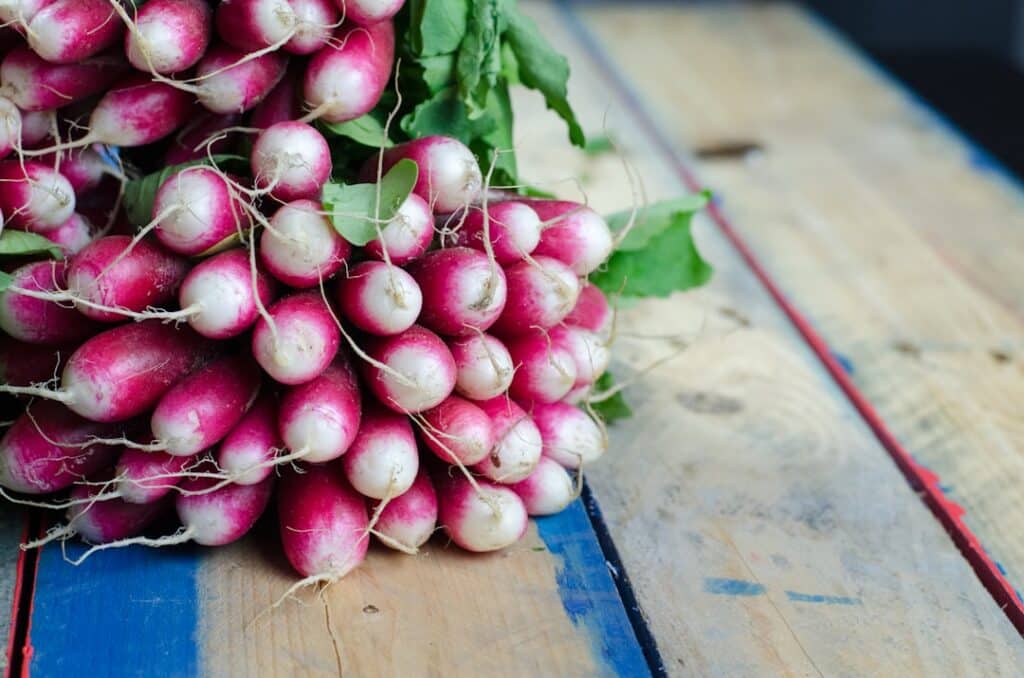 découvrez la richesse des légumes : des conseils de culture, des recettes délicieuses et des bienfaits nutritionnels pour intégrer ces trésors de la nature dans votre quotidien.