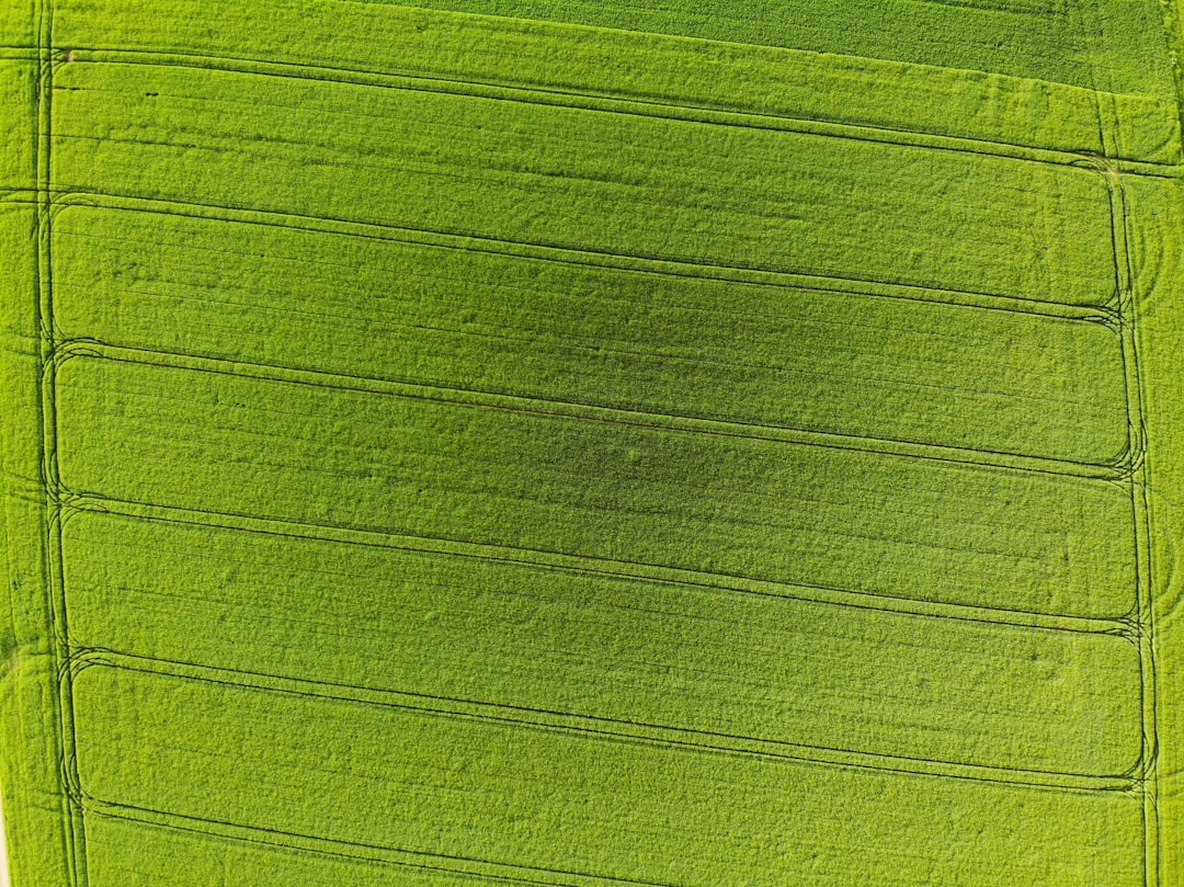 découvrez l'élégance des murs végétaux artificiels, une solution esthétique et durable pour embellir vos espaces intérieurs et extérieurs. faciles à entretenir, ces murs apportent une touche de nature tout en améliorant la qualité de l'air et l'ambiance de votre environnement.