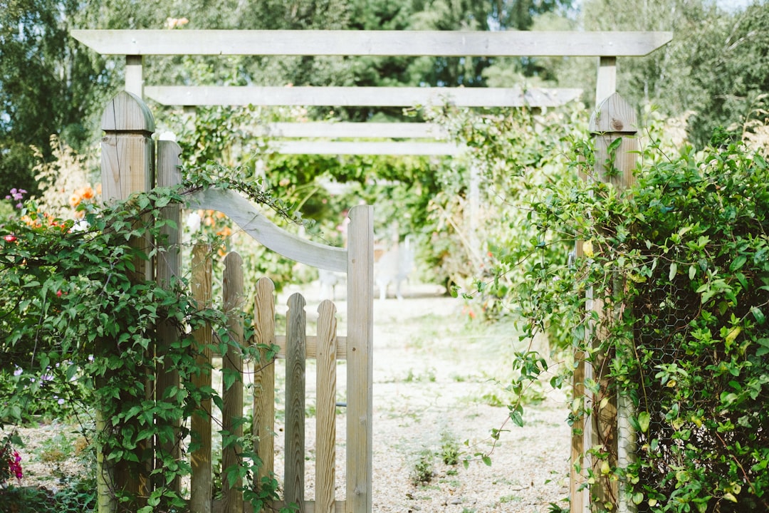 découvrez notre sélection de portails de jardin alliant esthétique et fonctionnalité, idéaux pour sécuriser votre espace extérieur tout en ajoutant une touche de charme à votre jardin.