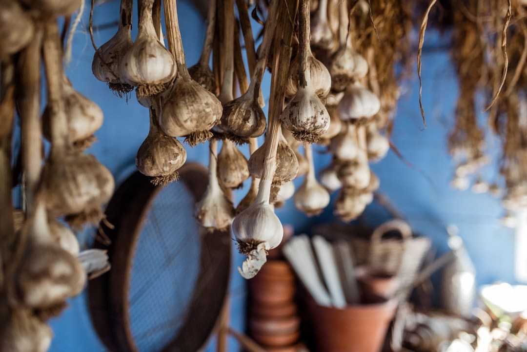 découvrez les bienfaits de l'ail, un ingrédient incontournable de la cuisine française. apprenez à l'utiliser pour rehausser vos plats tout en profitant de ses vertus santé. recettes, astuces et conseils pour intégrer l'ail dans votre alimentation quotidienne.