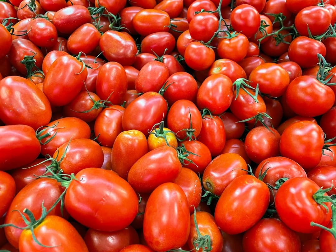 découvrez tout sur les légumes : leurs bienfaits pour la santé, leurs variétés, des recettes délicieuses et des conseils pour les intégrer dans votre alimentation quotidienne. explorez le riche monde des légumes et adoptez un mode de vie sain.