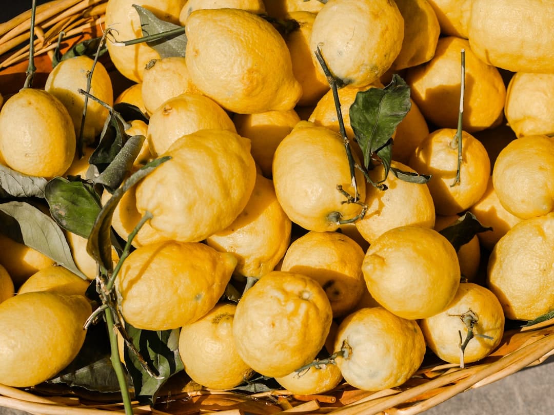 découvrez tout sur le citron : ses bienfaits pour la santé, ses utilisations en cuisine et ses recettes rafraîchissantes. apprenez à tirer le meilleur parti de ce fruit acidulé et vitaminé!