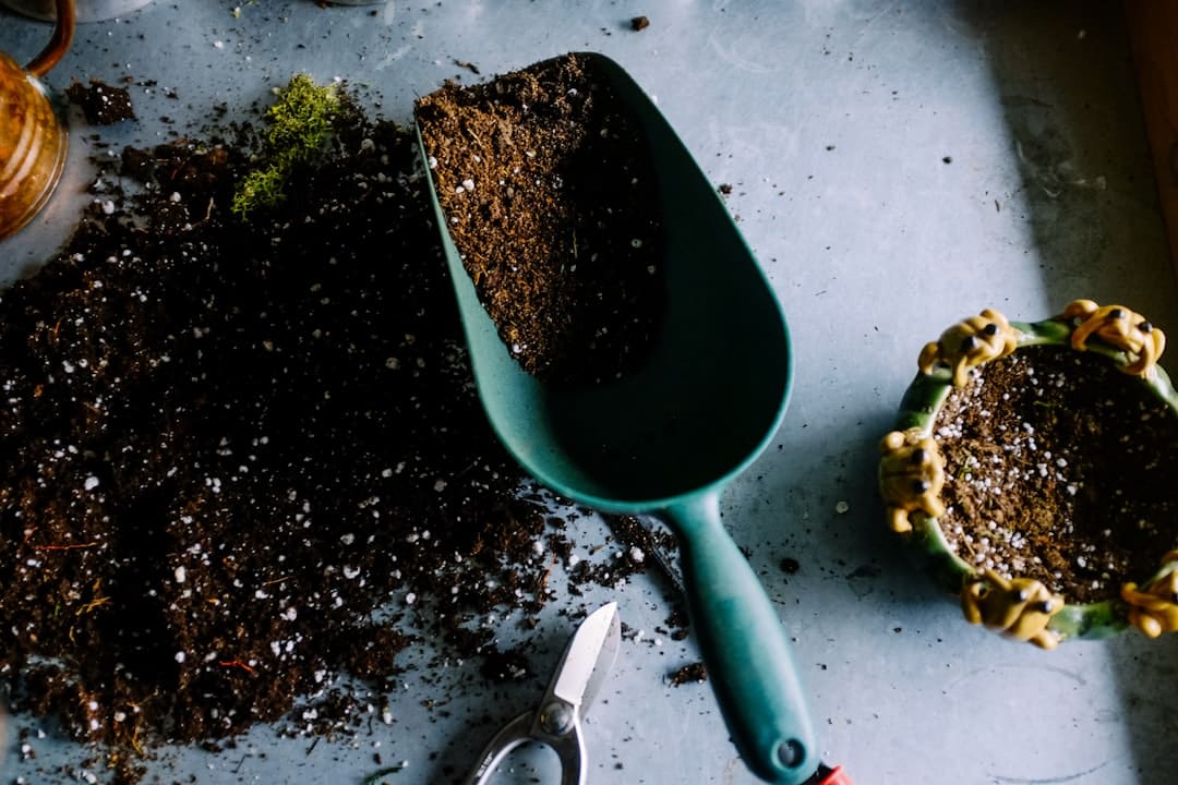 découvrez l'art de la taille des plantes pour favoriser leur croissance, améliorer leur santé et embellir votre jardin. apprenez les techniques essentielles de pruning pour un jardinage réussi.