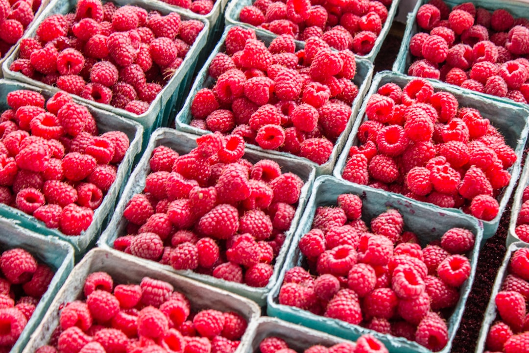 découvrez le monde des framboises : leurs bienfaits pour la santé, des recettes délicieuses et des astuces de culture pour profiter pleinement de ce fruit savoureux.