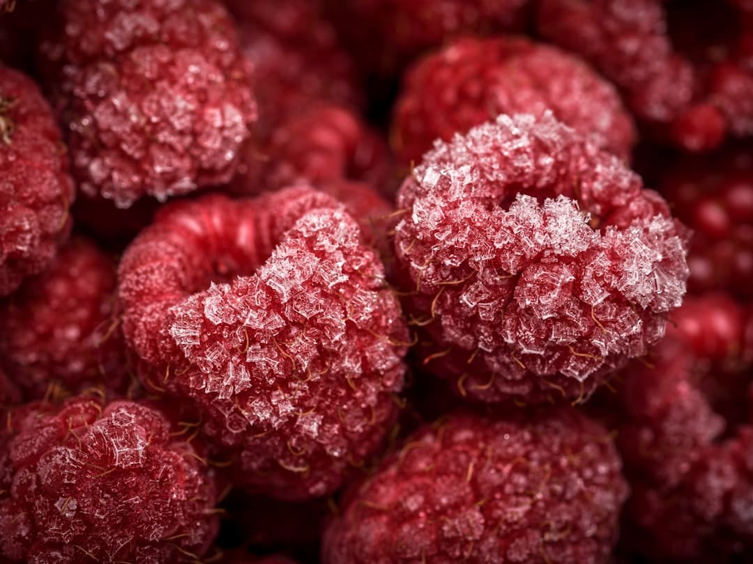 découvrez tout sur la framboise, ce fruit juteux et savoureux. apprenez ses bienfaits pour la santé, ses recettes gourmandes, et comment l'intégrer facilement dans votre alimentation au quotidien.