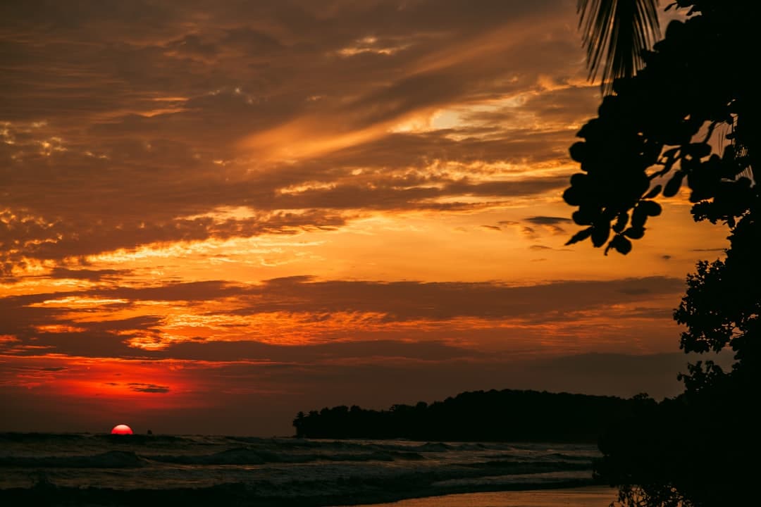 découvrez un véritable paradis tropical, où des plages de sable fin, des eaux turquoise et une végétation luxuriante vous attendent. évadez-vous dans ce coin de rêve pour des vacances inoubliables au cœur de la nature.