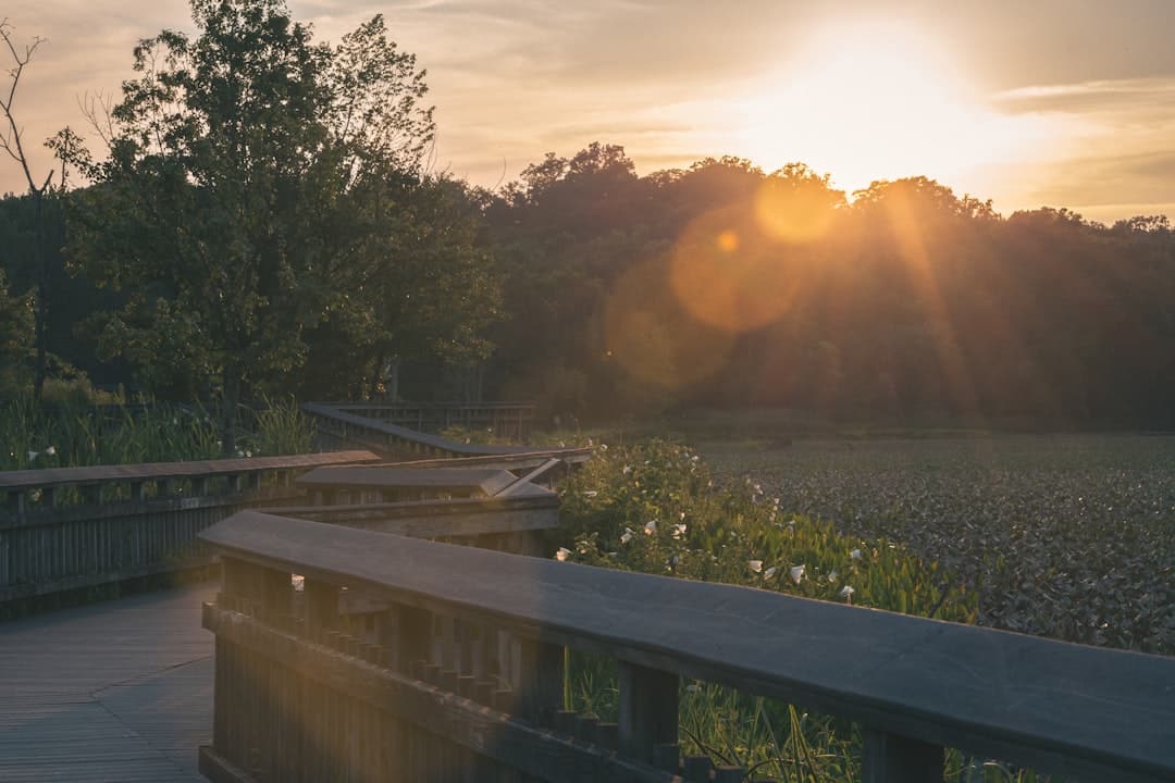 découvrez washington garden, un oasis de verdure au cœur de la ville, offrant des jardins paysagers spectaculaires, des sentiers pittoresques et des espaces de détente idéaux pour les amateurs de nature et les familles.