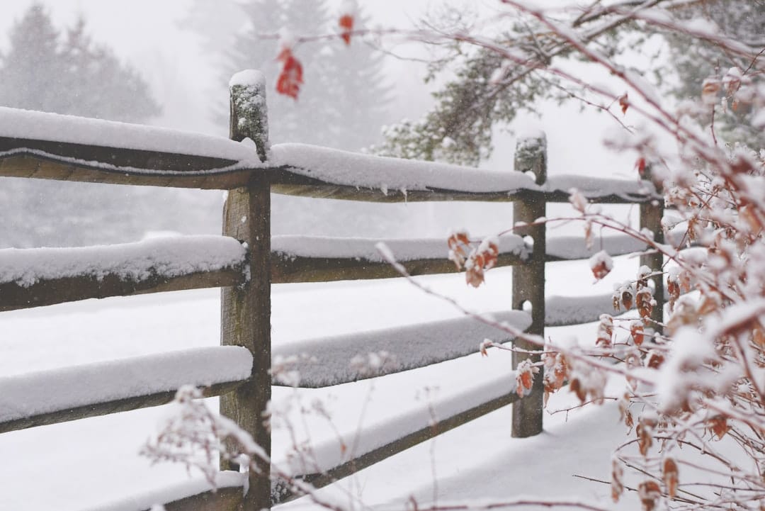 découvrez nos conseils pratiques pour préparer votre maison et votre jardin à l'hiver. apprenez à protéger vos plantes, à entretenir votre toiture et à économiser de l'énergie pendant les mois froids grâce à des techniques de mise hors gel efficaces.